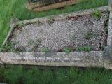 image of grave number 550142